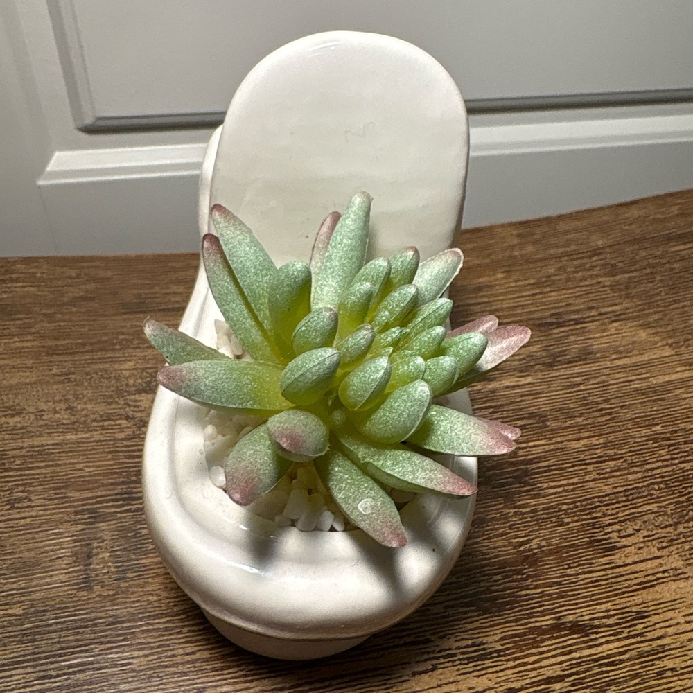 White Ceramic toilet Planter with Green Succulent